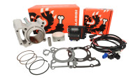 Zylinderkit & Tuning ECU Malossi 166cc Force Master 2.1