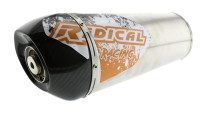 Auspuffanlage Radical Racing Inox