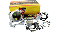 Zylinderkit & Tuning ECU Malossi 166cc