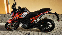 Felgenrandaufkleber Radical Racing Licensed by KTM