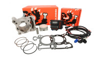 Zylinderkit & Tuning ECU Malossi 166cc Force Master 2.1