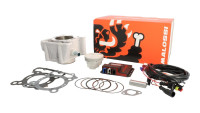 Zylinderkit & Tuning ECU Malossi 166cc